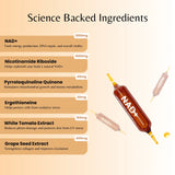 NAD+ Supplement